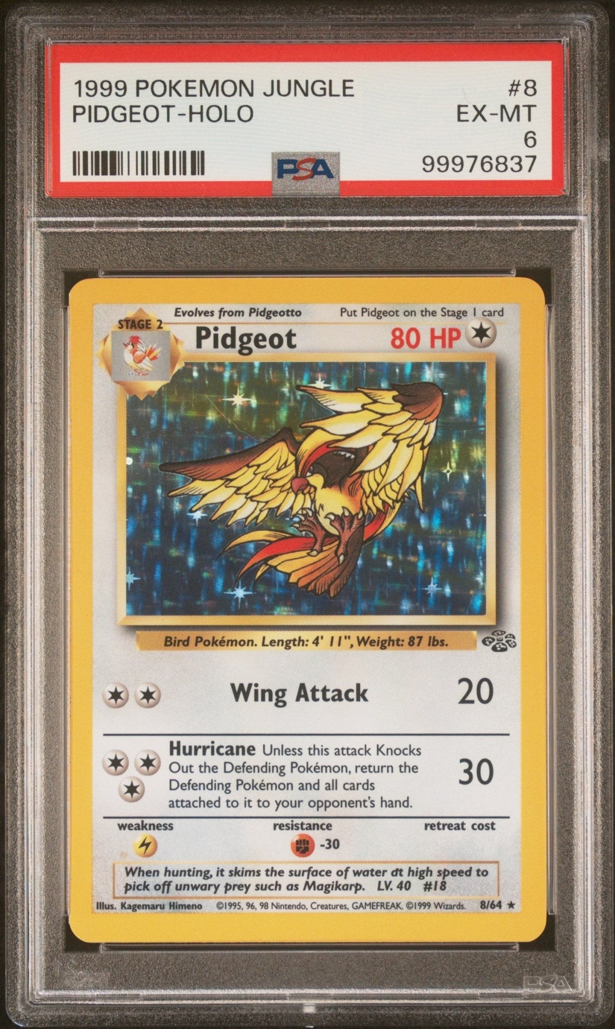 1999 Pokemon Jungle Pidgeot - Holo PSA - EX - MT 6 - Mr.Ru's TCG